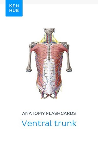 f3517] !D.o.w.n.l.o.a.d# Anatomy flashcards: Ventral trunk: Learn all bones, muscles, arteries, veins, nerves and ligaments on the go (Kenhub Flashcards Book 14) - Kenhub @PDF^
