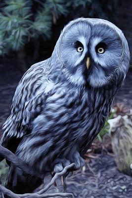 [ddecd] *R.e.a.d# *O.n.l.i.n.e% Who's There? Owl at Night Journal: 150 Page Lined Notebook/Diary -  %PDF~